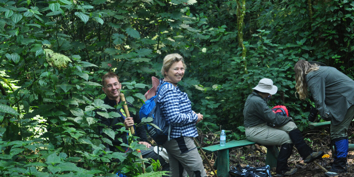 After Gorilla tracking