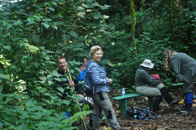 After Gorilla tracking