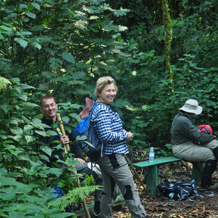 After Gorilla tracking