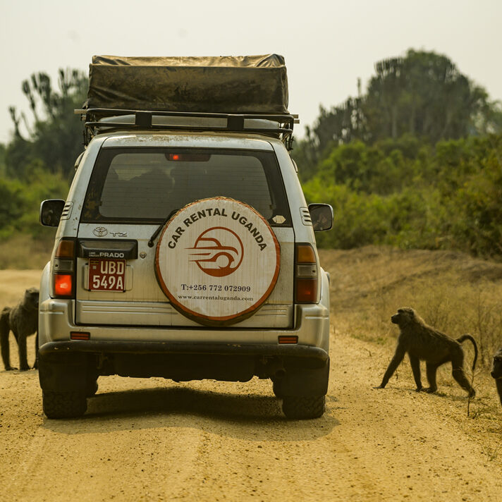 Self driving tips in Uganda