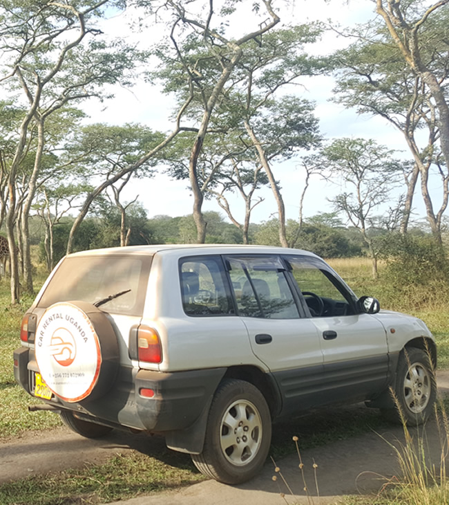 rav4 – suv category